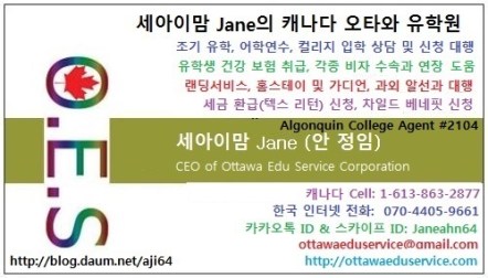 Jane 블로그 명함